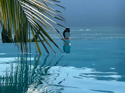 Image de SIEPH - Volet roulant et couverture piscine