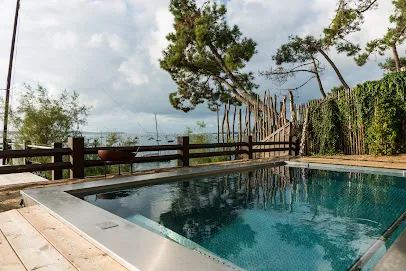 Image de Steel & Style