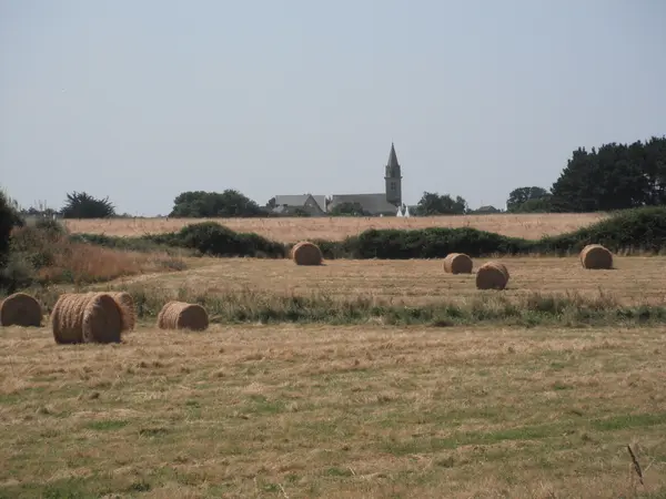 Votre Pisciniste Fabricant piscine inox Bangor