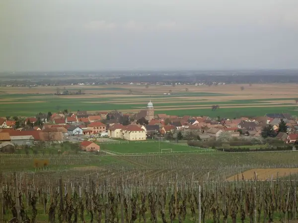 Votre Pisciniste Fabricant piscine inox Bergholtz