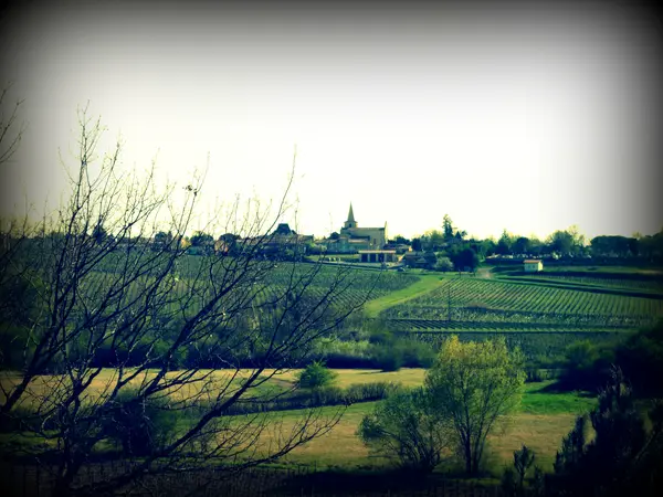 Votre Pisciniste Fabricant piscine inox Berson