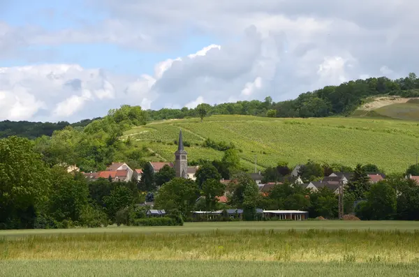 Votre Pisciniste Fabricant piscine inox Brasles
