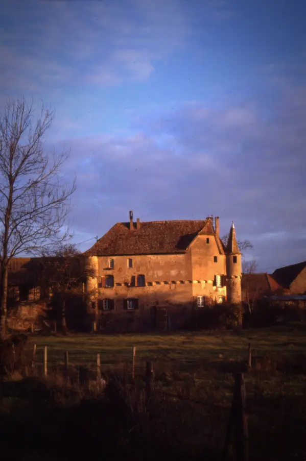 Votre Pisciniste Fabricant piscine inox Breuschwickersheim