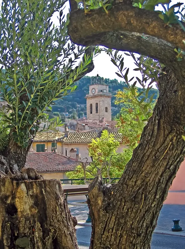 Votre Pisciniste Fabricant piscine inox Ceyreste