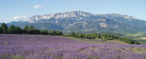 Votre Pisciniste Fabricant piscine inox Drôme