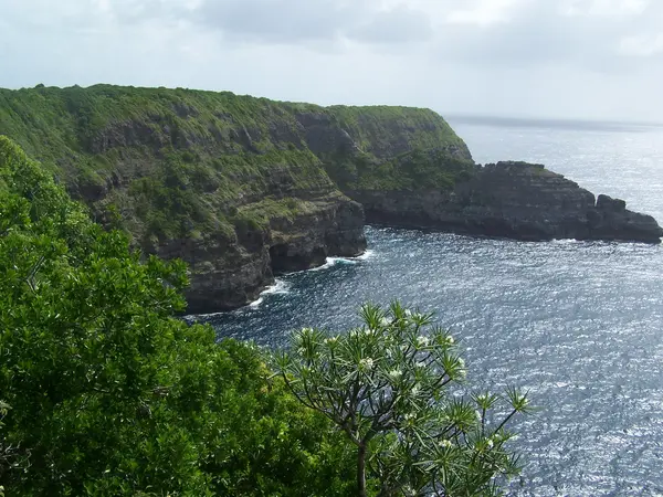 Votre Pisciniste Fabricant piscine inox Guadeloupe
