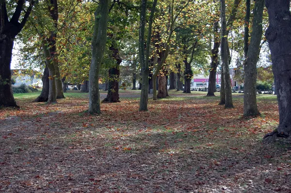 Votre Pisciniste Fabricant piscine inox Idron