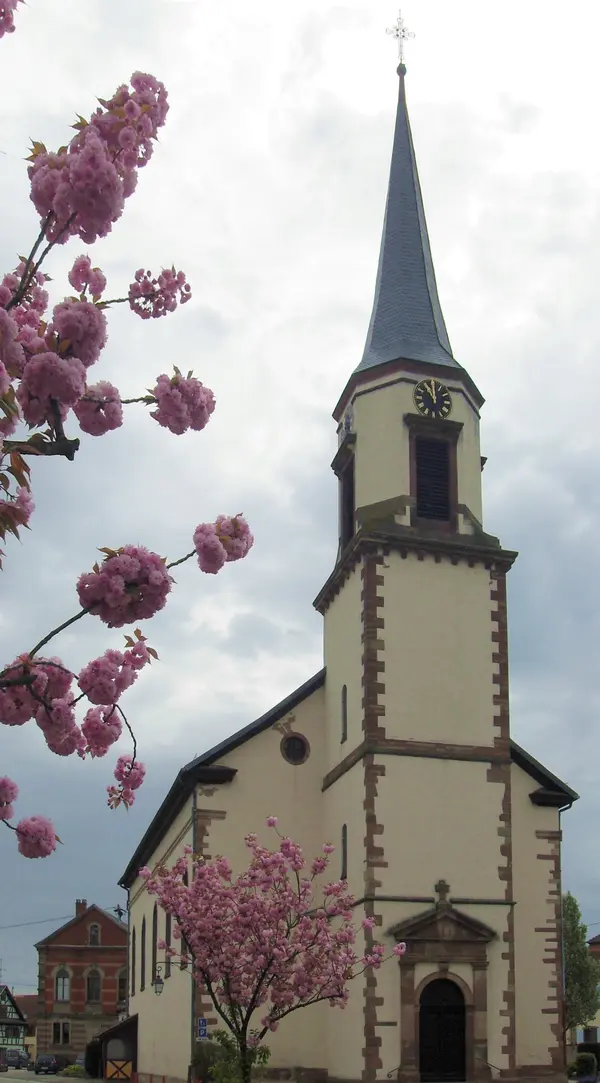 Votre Pisciniste Fabricant piscine inox Kertzfeld
