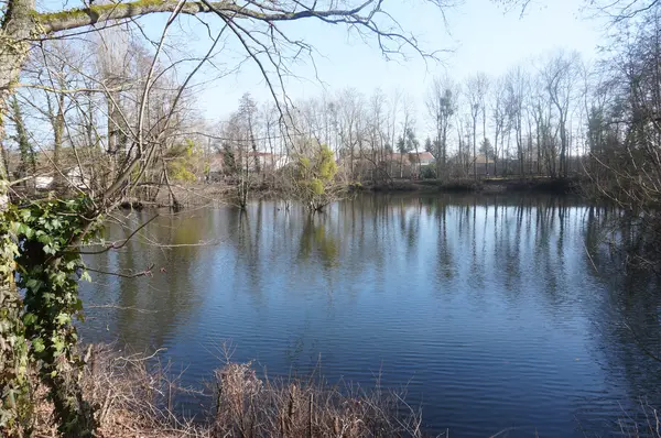 Votre Pisciniste Fabricant piscine inox La Chapelle-Saint-Luc