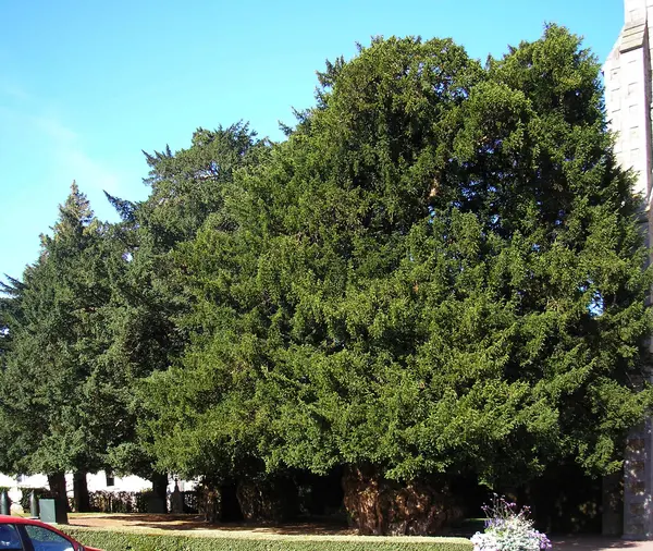 Votre Pisciniste Fabricant piscine inox La Lande-Patry