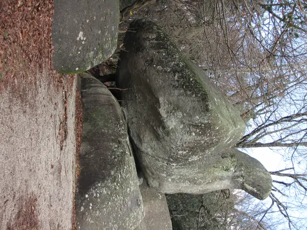 Votre Pisciniste Fabricant piscine inox Lacrouzette