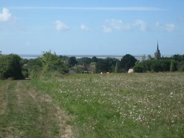 Votre Pisciniste Fabricant piscine inox Les Moutiers-en-Retz