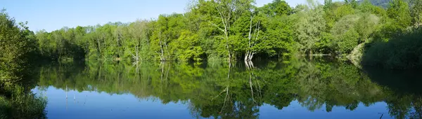 Votre Pisciniste Fabricant piscine inox Lyaud