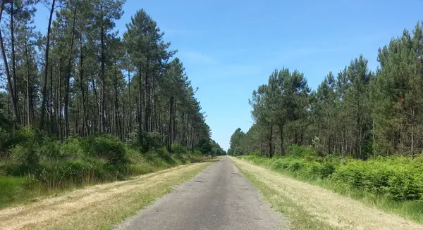 Votre Pisciniste Fabricant piscine inox Maillas