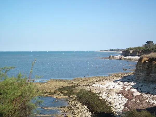 Votre Pisciniste Fabricant piscine inox Nouvelle-Aquitaine