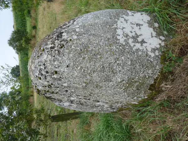 Votre Pisciniste Fabricant piscine inox Plaintel