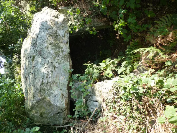 Votre Pisciniste Fabricant piscine inox Plénée-Jugon