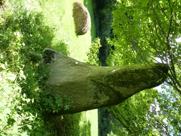 Votre Pisciniste Fabricant piscine inox Plouvara