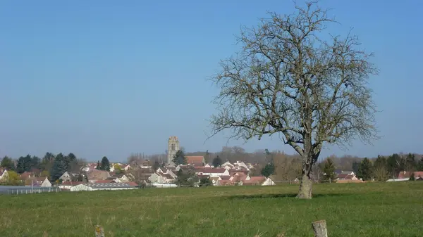Votre Pisciniste Fabricant piscine inox Presles-en-Brie