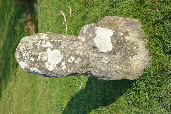 Votre Pisciniste Fabricant piscine inox Prinquiau