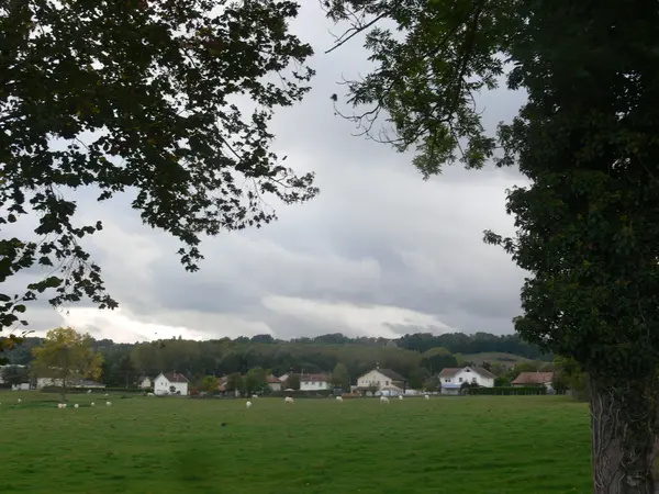 Votre Pisciniste Fabricant piscine inox Saint-André-le-Gaz