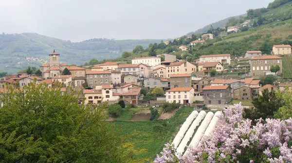 Votre Pisciniste Fabricant piscine inox Saint-Romain-en-Jarez