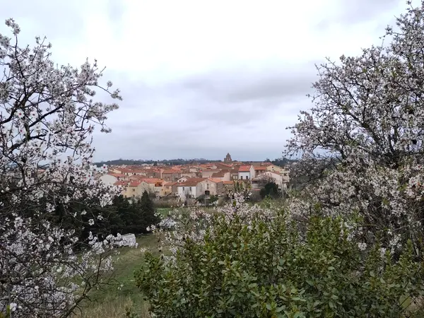 Votre Pisciniste Fabricant piscine inox Trouillas