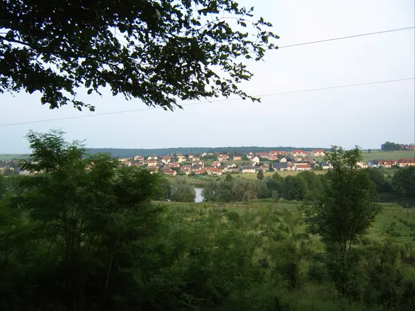 Votre Pisciniste Fabricant piscine inox Woustviller